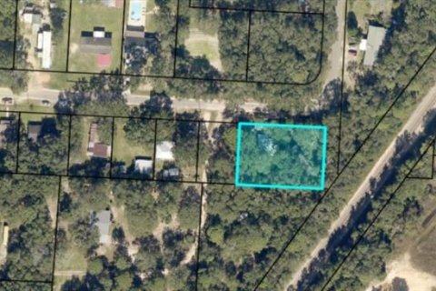 Terreno en venta en Milton, Florida № 1758079 - foto 2