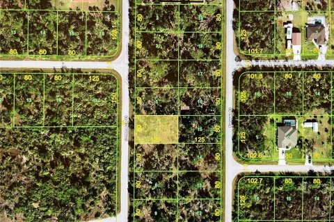 Land in Port Charlotte, Florida № 2163000