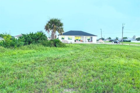 Land in Cape Coral, Florida № 2159894 - photo 3