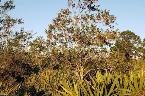Land in Lorida, Florida № 2162618 - photo 2