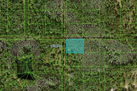 Terreno en Polk City, Florida № 2160730