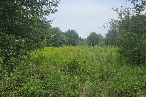 Land in Clermont, Florida № 1895116 - photo 6
