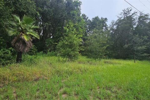 Land in Clermont, Florida № 1895116 - photo 1