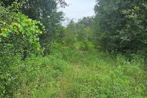 Land in Clermont, Florida № 1895116 - photo 3