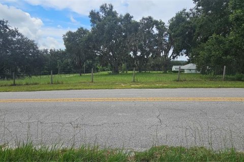 Land in Clermont, Florida № 1895116 - photo 8
