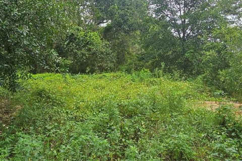 Land in Clermont, Florida № 1895116 - photo 4