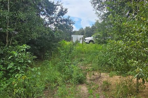 Land in Clermont, Florida № 1895116 - photo 5