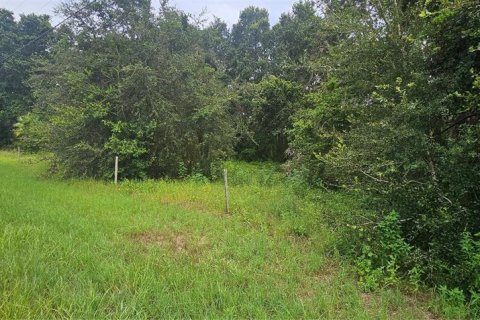 Land in Clermont, Florida № 1895116 - photo 7