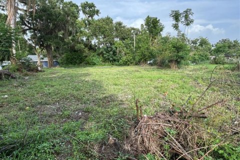 Land in Dade City, Florida № 1781178 - photo 6