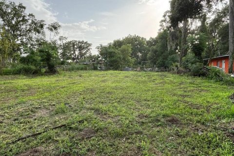 Land in Dade City, Florida № 1781178 - photo 2