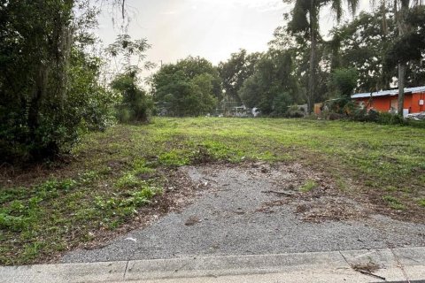 Land in Dade City, Florida № 1781178 - photo 5