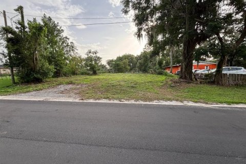 Land in Dade City, Florida № 1781178 - photo 3