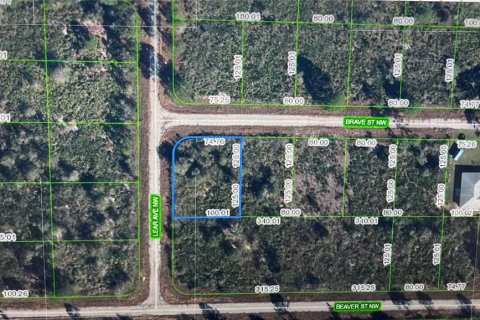Land in Lake Placid, Florida № 2165131