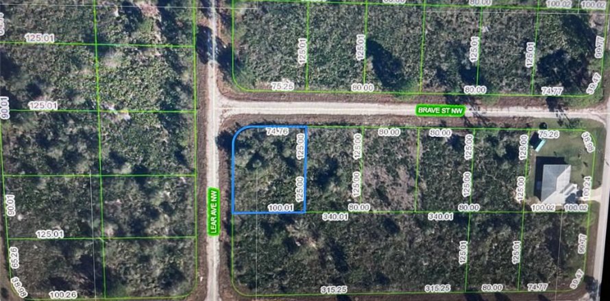 Land in Lake Placid, Florida № 2165131