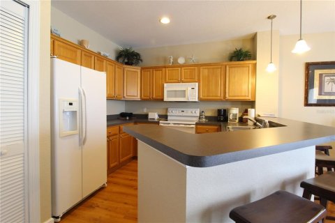 Condo in Horseshoe Beach, Florida, 1 bedroom  № 1339742 - photo 11