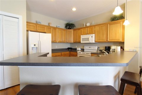 Condo in Horseshoe Beach, Florida, 1 bedroom  № 1339742 - photo 13