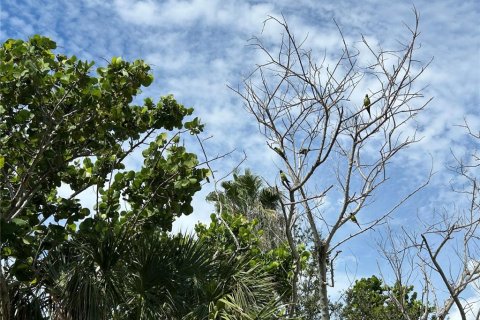 Terreno en venta en Redington Shores, Florida № 1906689 - foto 23