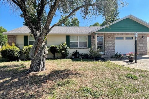 House in New Port Richey, Florida 2 bedrooms, 89.93 sq.m. № 2139849
