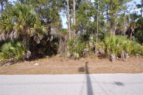 Land in North Port, Florida № 2161008 - photo 5