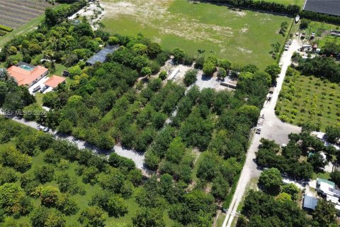 Immobilier commercial à vendre à Homestead, Floride № 2084369 - photo 2