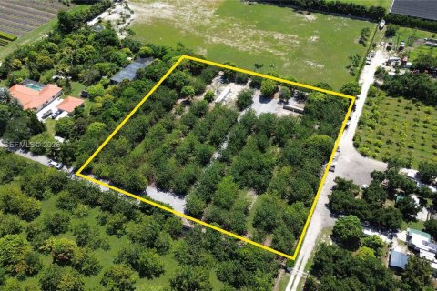 Immobilier commercial à vendre à Homestead, Floride № 2084369 - photo 3