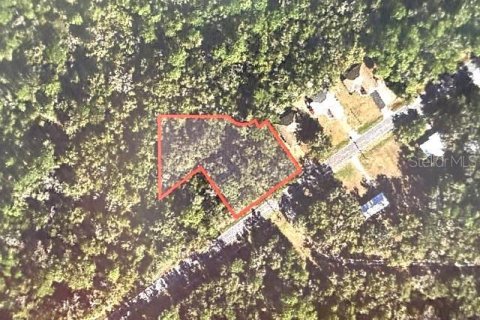 Land in Crystal River, Florida № 2161686 - photo 2
