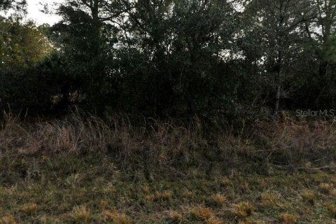 Купить земельный участок в Норт-Порт, Флорида № 2211215 - фото 2