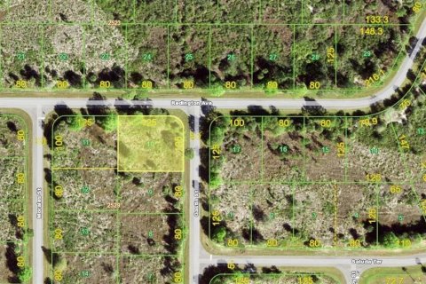 Land in Port Charlotte, Florida № 2165896 - photo 6