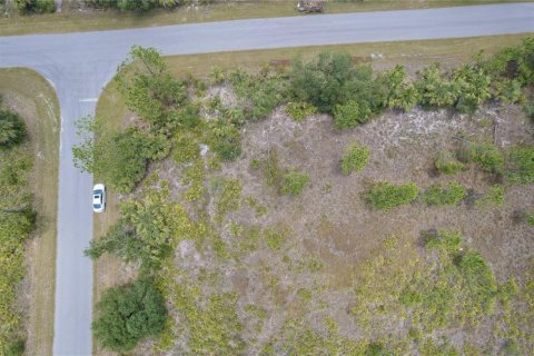 Land in Port Charlotte, Florida № 2165896 - photo 5