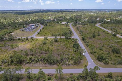 Land in Port Charlotte, Florida № 2165896 - photo 2
