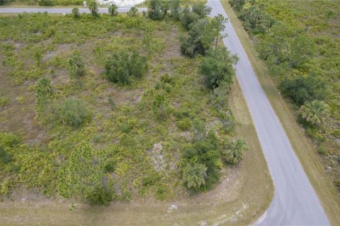 Land in Port Charlotte, Florida № 2165896 - photo 4