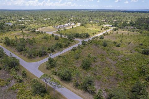 Land in Port Charlotte, Florida № 2165896 - photo 3