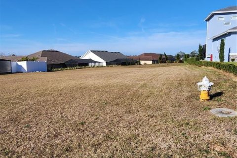 Terreno en venta en Lakeland, Florida № 1909071 - foto 5