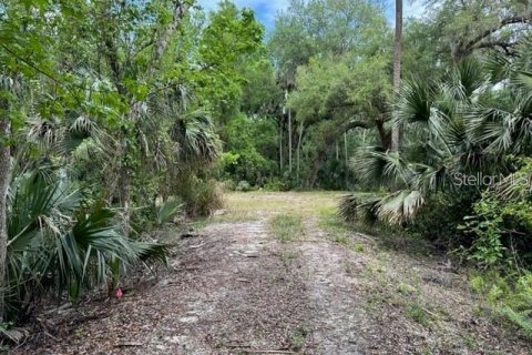 Land in Deltona, Florida № 2205635 - photo 4