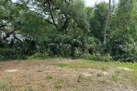 Land in Deltona, Florida № 2205635 - photo 6
