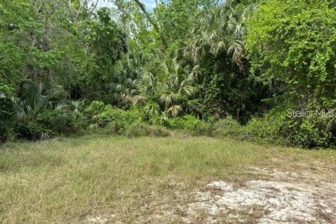 Land in Deltona, Florida № 2205635 - photo 5