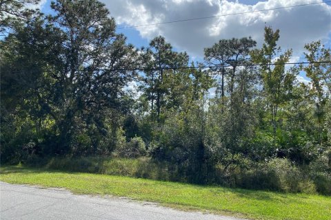 Land in Orlando, Florida № 1767519 - photo 2