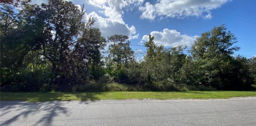 Land in Orlando, Florida № 1767519