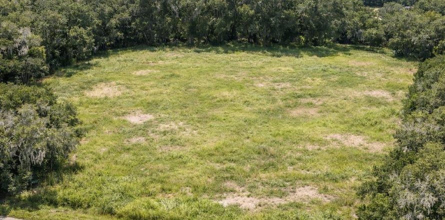 Land in Lutz, Florida № 2133704