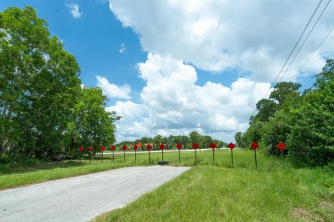 Commercial property in Loxahatchee Groves, Florida № 2191789 - photo 16