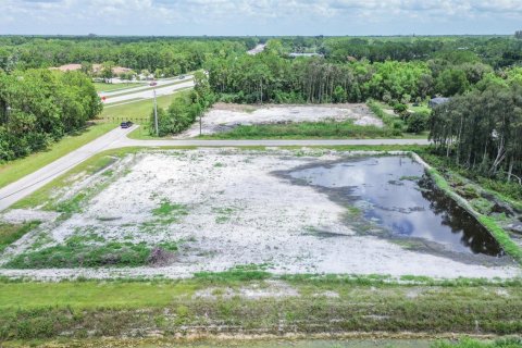 Commercial property in Loxahatchee Groves, Florida № 2191789 - photo 9