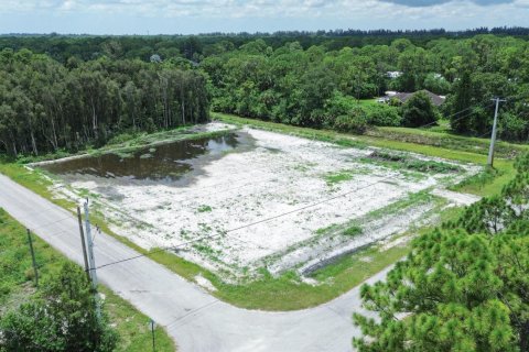 Commercial property in Loxahatchee Groves, Florida № 2191789 - photo 13