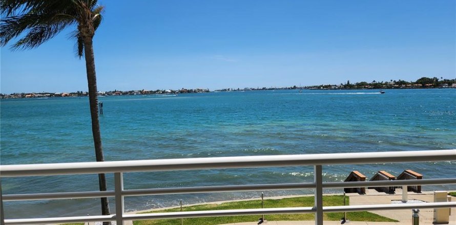 Condo in Saint Petersburg, Florida, 2 bedrooms  № 2205952