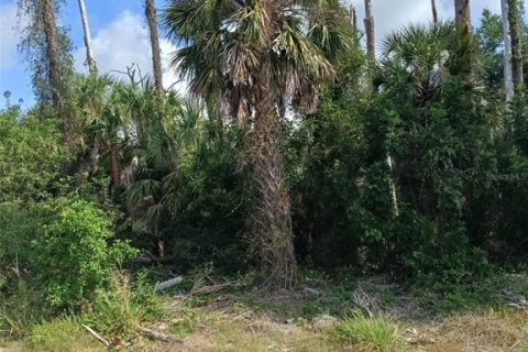 Land in Port Charlotte, Florida № 2158758 - photo 3