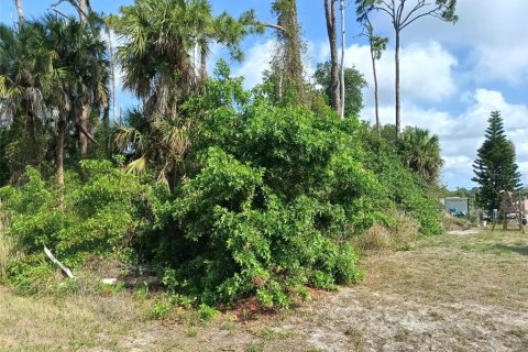 Land in Port Charlotte, Florida № 2158758 - photo 2