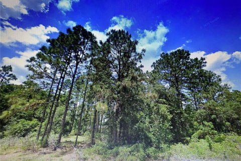Land in Ocala, Florida № 2161258
