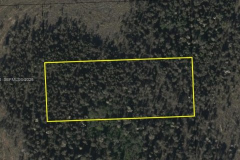 Terrain à Miami, Floride № 2005348