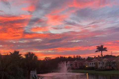 Casa en alquiler en Saint Petersburg, Florida, 3 dormitorios, 239.13 m2 № 1784398 - foto 1