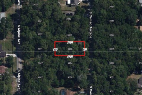 Land in Inverness, Florida № 2159133