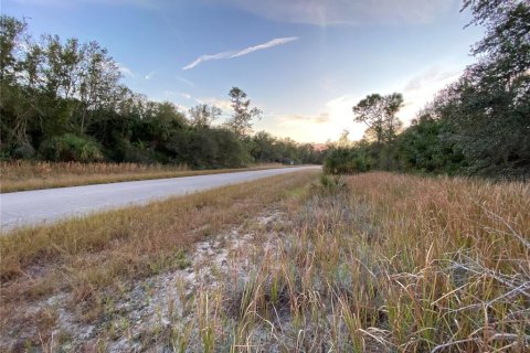 Land in North Port, Florida № 2223924 - photo 4
